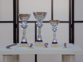 l'Angolo delle Premiazioni